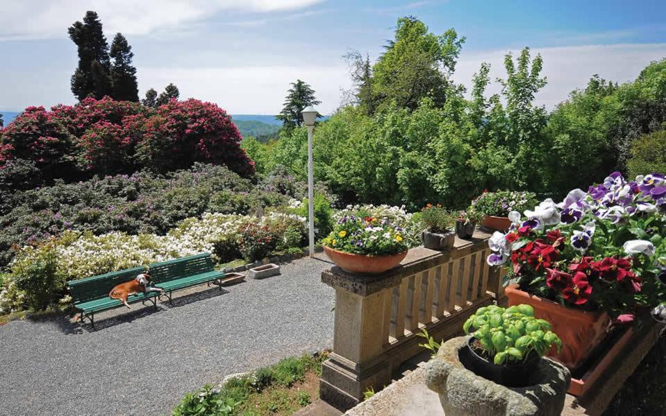 Tavallini 3* Pollone